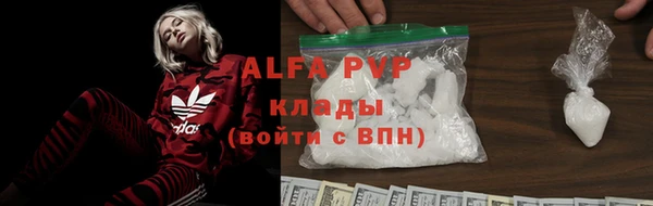 тгк Володарск