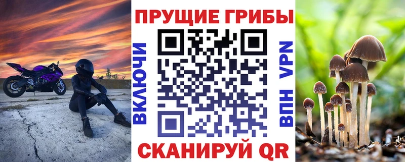 Галлюциногенные грибы прущие грибы  Чёрмоз 